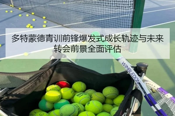 多特蒙德青训前锋爆发式成长轨迹与未来转会前景全面评估